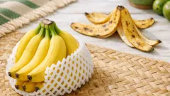 Nuevas bananas Cavendish: qué cambian para el plátano en México y por qué se verán más parejas