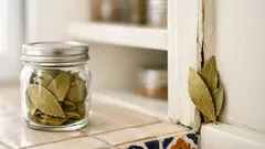 Dónde poner hojas de laurel en casa para buena vibra y menos cucarachas