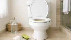 Cómo quitar el sarro del WC con sal, vinagre y bicarbonato (sin olores fuertes)