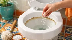 El truco de la sal gruesa para quitar el mal olor del sanitario mientras duermes